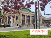 Visuel Paris 8e - Grand Palais printemps 