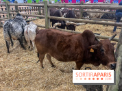 Salon de l'agriculture 2024 - image00002