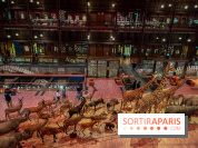 Grande Galerie de l'évolution- visuels 2024 - image00028