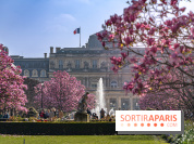 Les magnolias du Jardin du Palais Royal  - printemps - visuel Paris
