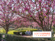 Les magnolias du Jardin du Palais Royal  - printemps - visuel Paris
