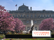 Les magnolias du Jardin du Palais Royal  - printemps - visuel Paris