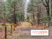 Arbor&Sens, l'Arboretum de Franchard en forêt de Fontainebleau - les photos