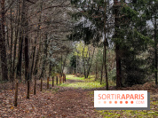 Arbor&Sens, l'Arboretum de Franchard en forêt de Fontainebleau - les photos