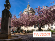 Square Gabriel Pierné à Paris - cerisiers en fleurs