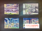 Natures vivantes : l'exposition photo qui met à l'honneur les jardins du musée Albert Kahn - photos