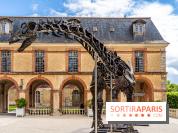 Un dinosaure géant au Château de Dampierre - Jurassique au Château de Dampierre -  A7C8901
