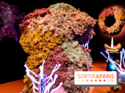 “Forêts astrales” : nos photos de l'exposition gratuite à voir à l'Institut suédois à Paris - IMG 5982