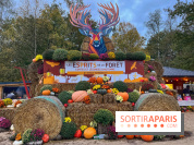 Les Esprits de la Forêt