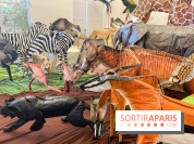 La faune en plis - nos photos - image00002