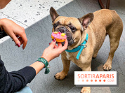 Le Doggy Brunch : le brunch gourmand entre chiens et maîtres à l'hôtel Kimpton Saint Honoré Paris - image00065