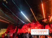 Lueurs de Mantes 2024, le parcours lumineux dans les Yvelines - photos -  A7C9135