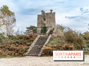 Randonnée à Fontainebleau : le sentier sur les pas de Denecourt jusqu’à la Tour Denecourt -  A7C7600
