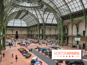 Bonhams I Cars au Grand Palais : exposition de voitures d'exception - IMG 1283 jpg