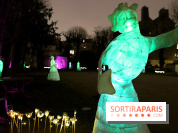 Exposition Silva Lumina au Centre Culturel Irlandais  - Silva Lumina 14