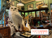 Deyrolle, l'incroyable cabinet de curiosités à Paris - nos photos