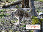 Lumigny Safari Reserve - nos photos