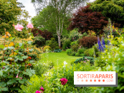 Le Jardin des Aubépines a Auffargis  - A7C01416