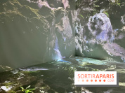 Topologie de l’Eau : Roches, Plantes et Vent