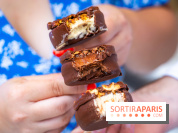 Les bouchées glacées de la Chocolaterie William Artigue, les esquimaux gourmands