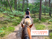 Balade en chevaux Henson en forêt de Fontainebleau  - IMG 2038