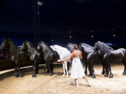 Campagne #35169 - FG 09 07 2025 OBRAJON 0066