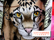 Les Bombasphères investissent le bar Balou à Paris 