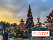 Noël à Disneyland Paris : Disney's Enchanted Christmas - sapin