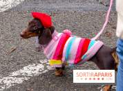 Paris Sausage Walk, la Marche des Teckels 2025