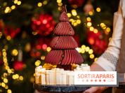 Bûche de Noël Cheval Blanc 2025 : Maxime Frédéric dévoile un sapin exceptionnel - photos