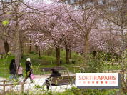 Les cerisiers du parc Martin Luther King - Clichy - Batignoles