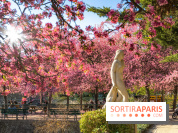 Les pommiers et cerisiers en fleurs du Jardin de Reuilly, Parc de Reuilly à Paris 12e - photos  - visuel