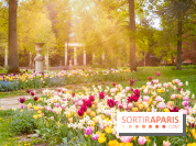 Le Château de Buc et son superbe domaine, parc paysagé aux nombreux trésors - A7C03157 Edit