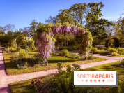 Le Parc des Ibis au Vésinet dans les Yvelines en Région Parisienne - photos  - A7200441