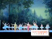 La Bayadère de Noureev à l'Opéra Bastille