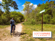 Liaisons douces à Fontainebleau : la forêt à vélo, les photos
