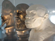 Néandertal, la grande expo au Musée de l'Homme