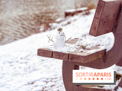 Neige et verglas en Île-de-France la semaine prochaine ? 