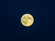 Super Lune du Chasseur : la plus grande pleine lune de l'année arrive ! Pourquoi ce nom ?