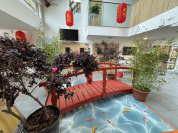 Nouvel An chinois à Saint-Germain-en-Laye, le programme festif et gratuit