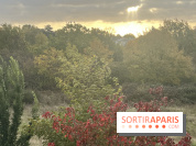 Tempête Benjamin : parcs et jardins fermés en Île-de-France