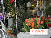 La foire aux Plantes de Crèvecœur-En-Brie 2026 (77)