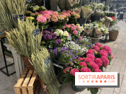 La Fête des Jardins de Sois-y en Essonne 2026