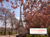 Les cerisiers du Trocadéro fleurissent avec de l'avance
