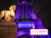 Concert de Céline Dion : 9 millions de pré-inscriptions, un record !