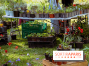 Les Naturiales 2026 à Fontainebleau : marché de plantes et animations nature en Seine-et-Marne