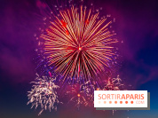 Après l'Essonne, les Yvelines, le Val d'Oise et la Seine-et-Marne interdisent les feux d'artifice