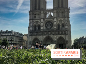 Réouverture du Parvis et de la rue du Parvis de Notre-Dame de Paris