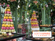 Ladurée lance sa terrasse fleurie sur les Champs-Elysées