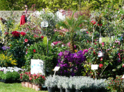 La Plairiale de Montigny, la Fête des plantes à la Ferme du Manet